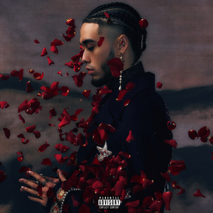 美女被操爆网站
