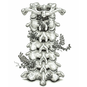 美女被操爆网站
