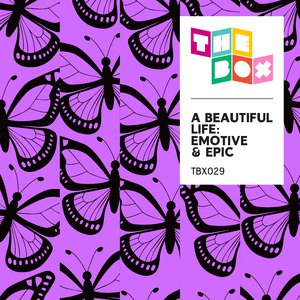 美女被操爆网站
