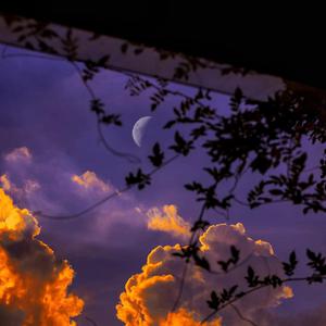 美女被操爆网站
